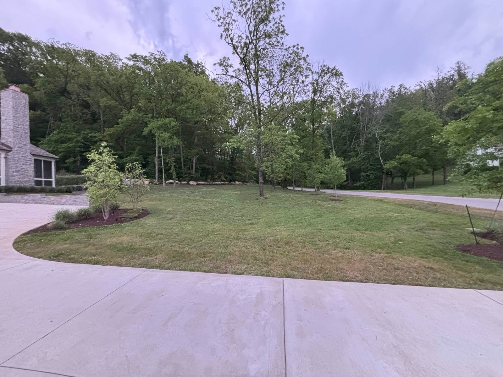Professional lawn care project showcase