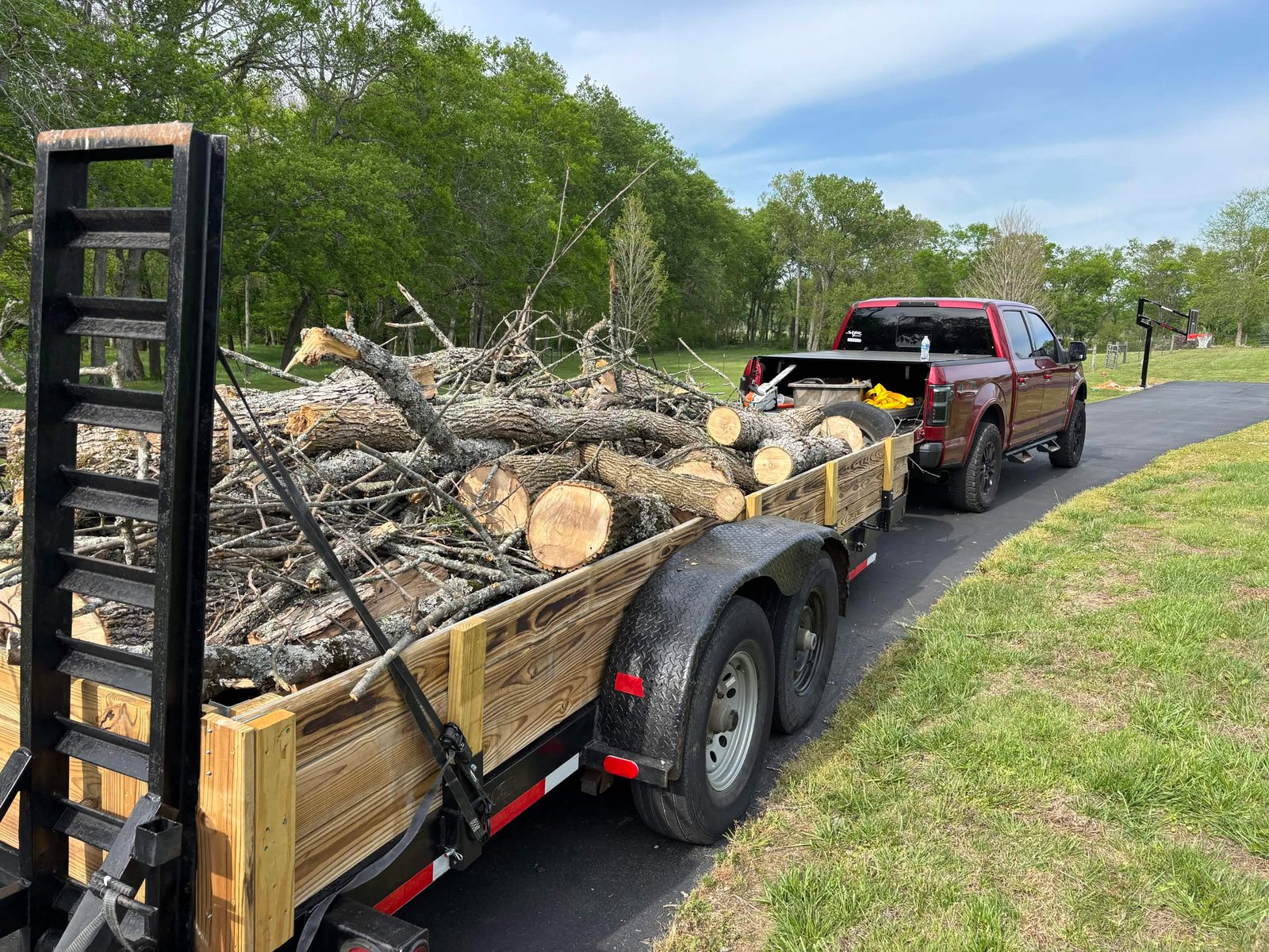 Professional tree trimming and removal services
